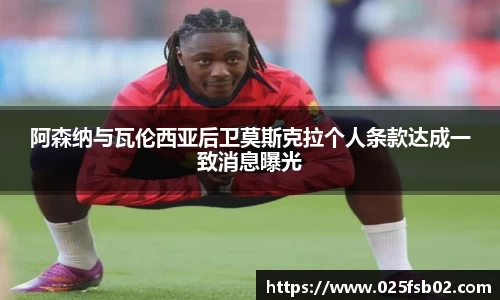 熊猫体育